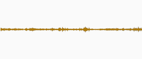 Vorschau: Kassette 05b - Syntrometrie (1978-07-03+21)